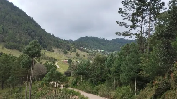 Agua de Pajarito