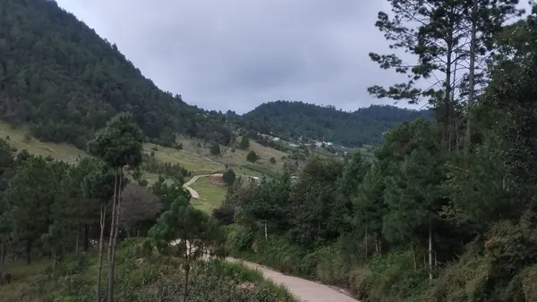 Agua de Pajarito