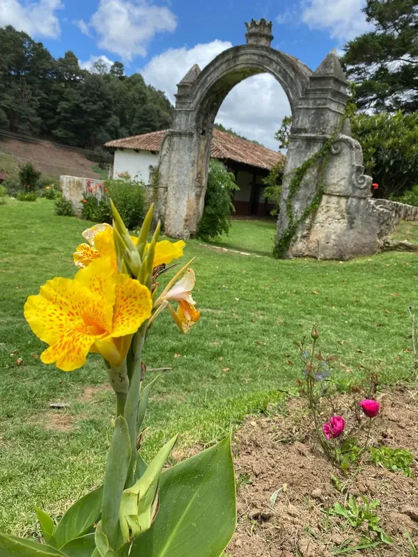 Finca del Obispo