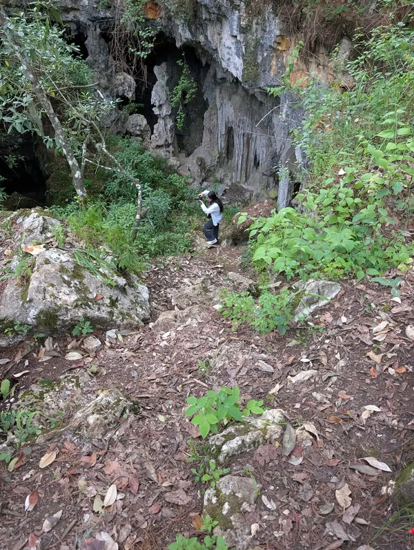 Gruta del Dragón