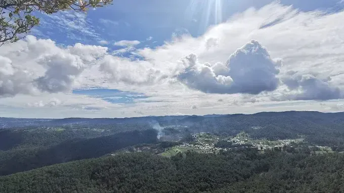 Montetik